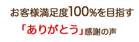 qlx100%ڎwu肪Ƃvӂ̐