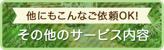 ̑̃T[rXe